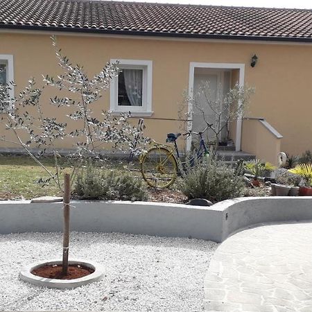 Apartment Andjel Porec Bagian luar foto
